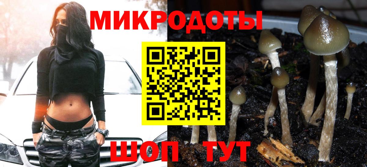 Галлюциногенные грибы MAGIC MUSHROOMS Удомля