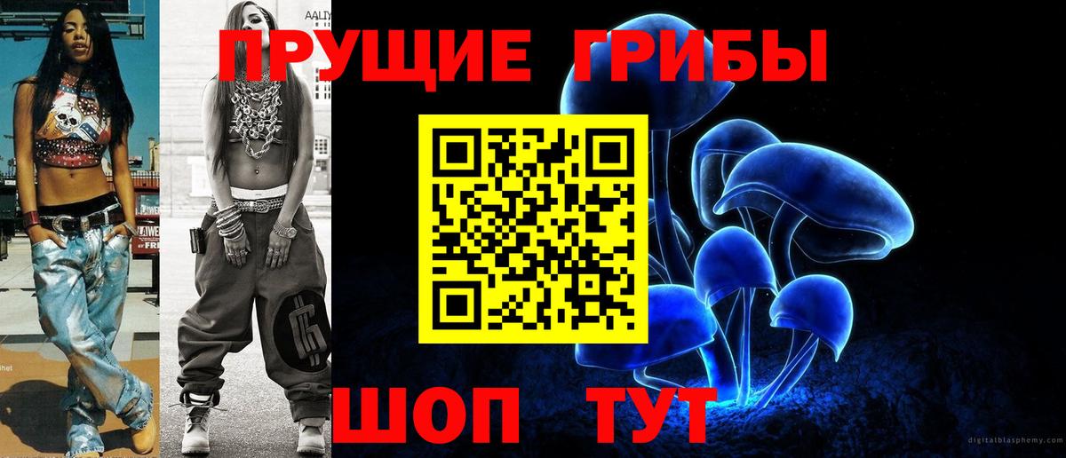 Псилоцибиновые грибы MAGIC MUSHROOMS  что такое наркотик  Удомля  Вход с VPN 